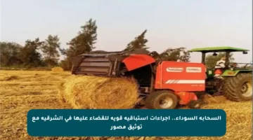 السحابة السوداء.. إجراءات استباقية قوية للقضاء عليها في الشرقية مع توثيق مصور